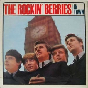 ROCKIN' BERRIES / ロッキン・ベリーズ / IN TOWN