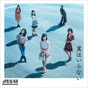 AKB48 / 翼はいらない(Type C)    