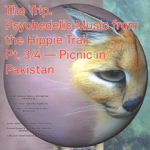 V.A. (WORLD MUSIC) / V.A. (辺境) / THE TRIP 3/4 (PSYCHEDELIC MUSIC FROM THE HIPPIE TRAIL)