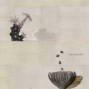 TAPE / テープ / MILIEU PLUS