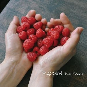 Plum Trees / プラム・ツリーズ / パッション / PASSION