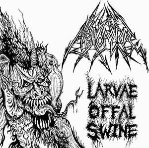 ABHOMINE / LARVAE OFFAL SWINE