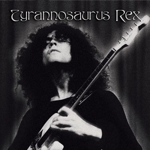 TYRANNOSAURUS REX / ティラノザウルス・レックス / A CROWN OF DARK SWANSDOWNEASY ACTION