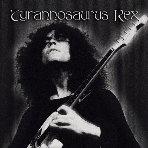 TYRANNOSAURUS REX / ティラノザウルス・レックス / A CROWN OF DARK SWANSDOWNEASY ACTION