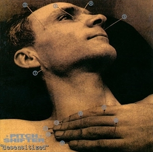 PITCHSHIFTER / ピッチシフター / DESENSITIZED