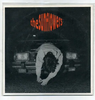 SUNFLOWERS / TEENAGE DEATH
