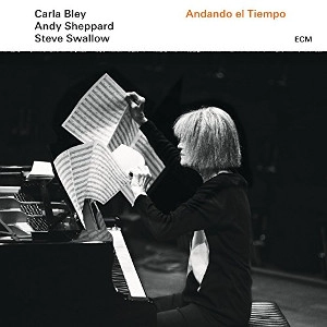 CARLA BLEY & ANDY SHEPPARD & STEVE SWALLOW / カーラ・ブレイ&アンディ・シェパード&スティーヴ・スワロウ / ANDANDO EL TIEMPO(LP)