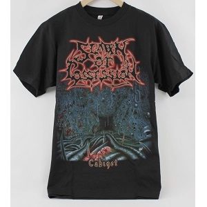 SPAWN OF POSSESSION / スポーン・オブ・ポゼッション / CABINET<SIZE:M>