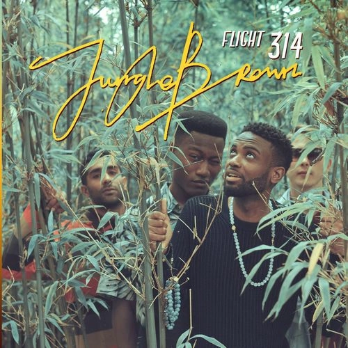 JUNGLE BROWN / ジャングル・ブラウン / FLIGHT 314