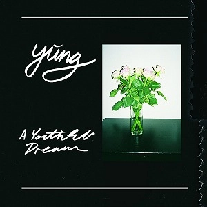 YUNG / ユング / ユースフル・ドリーム