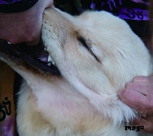 CHRISTIAN FENNESZ & JIM O'ROURKE / IT'S HARD FOR ME TO SAY I'M SORRY