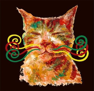 不良メルヘン / many minds one haat
