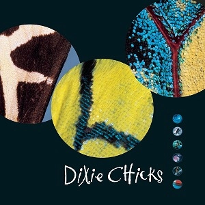 DIXIE CHICKS / ディクシー・チックス / FLY