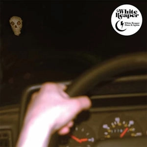WHITE REAPER / ホワイト・リーパー / WHITE REAPER DOES IT AGAIN (LP)