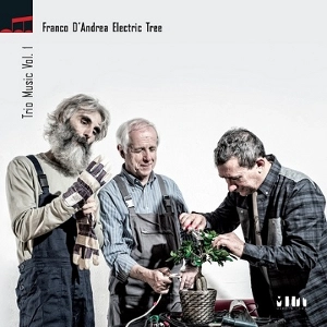 FRANCO D'ANDREA / フランコ・ダンドレア / TRIO MUSIC VOL.1