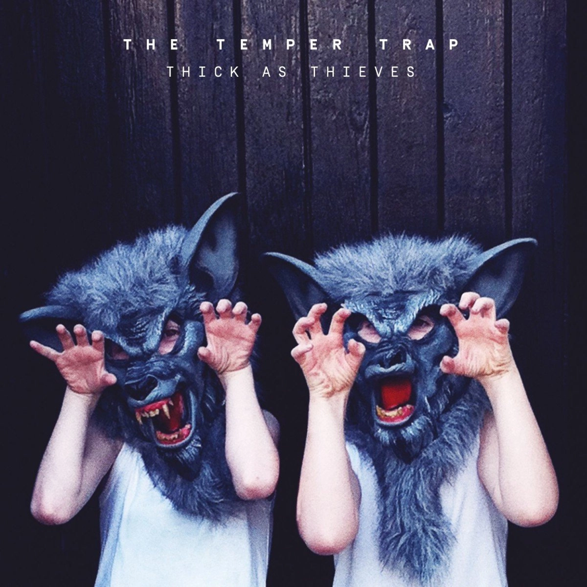 TEMPER TRAP / テンパー・トラップ / THICK AS THIEVES