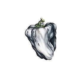 WEEN / ウィーン / WHITE PEPPER