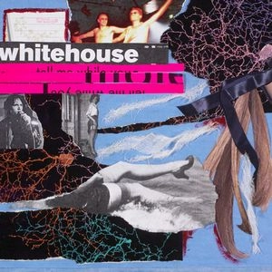 WHITEHOUSE / ホワイトハウス / THE SOUND OF BEING ALIVE (LP)