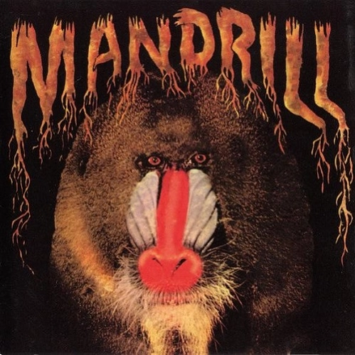 MANDRILL / マンドリル / MANDRILL