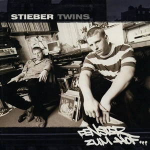 STIEBER TWINS / FENSTER ZUM HOF (LP)