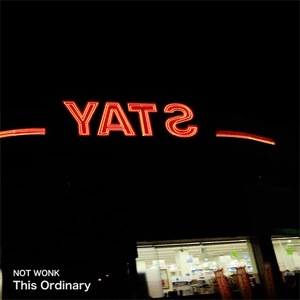 NOT WONK / This Ordinary