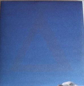 ALT-J / アルト・ジェイ / BLOODFLOOD / TESSELLATE