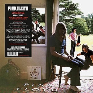 PINK FLOYD / ピンク・フロイド / UMMAGUMMA (2016 VINYL)