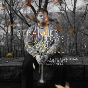 ADAM O'FARRILL / アダム・オファリル / Stranger Days