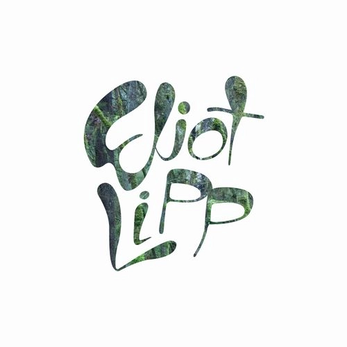 ELIOT LIPP / COME TO LIFE