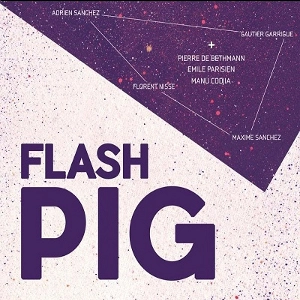 FLASH PIG / FLASH PIG