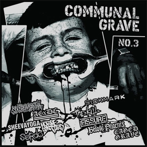 VA (DEAD HEROES) / COMMUNAL GRAVE NO.3 (ZINE WITH LP)