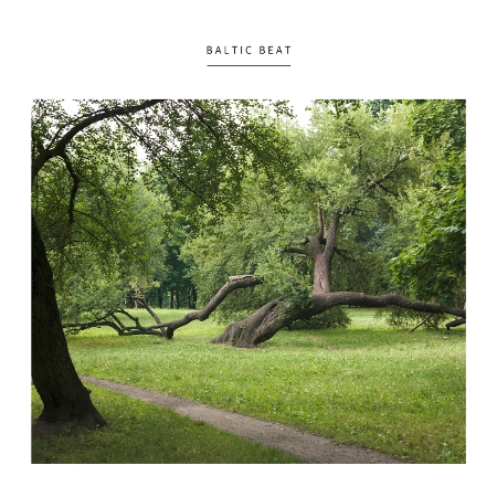 BARTOSZ KRUCZYNSKI / バルトシュ・クルチンスキー / BALTIC BEAT