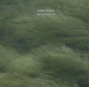 DAIKI YASUKAGAWA / 安ヵ川大樹 / ジェントル・ブリーズ / Gentle Breeze