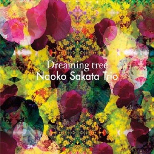 NAOKO SAKATA / 坂田尚子 / DREAMING TREE
