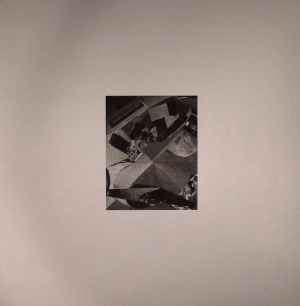 V.A. / EVENTS AT THE FATAL PARTY EP