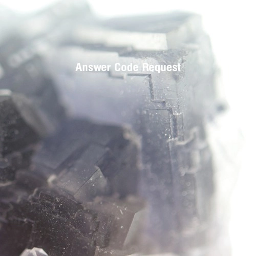 ANSWER CODE REQUEST / アンサー・コード・リクエスト / NEUME EP
