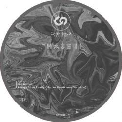LEO ANIBALDI / PHASE II