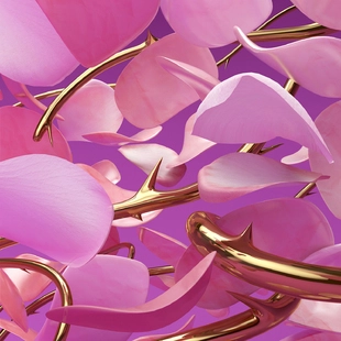 ET ALIAE / Ｒose