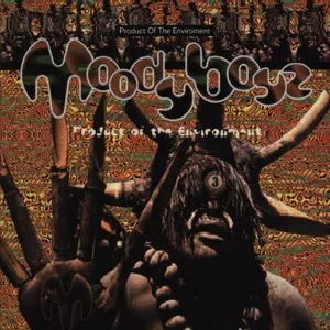 MOODY BOYZ / PRODUCT OF THE ENVIRONMEN