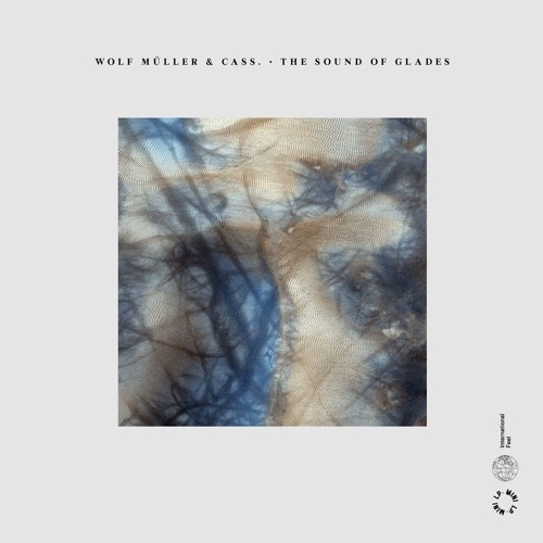 WOLF MULLER & CASS. / SOUND OF GLADES