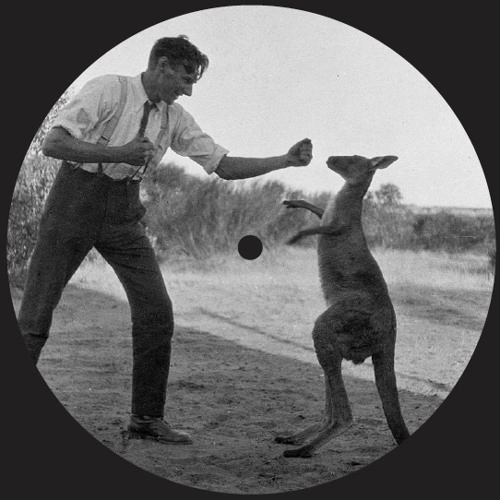 V.A. / KANGAROO SUNSET EP