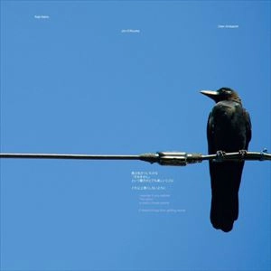 KEIJI HAINO/JIM O'ROURKE/OREN AMBARCHI / I WONDER IF YOU NOTICED "I'M SORRY" IS SUCH A LOVELY SOUND IT KEEPS THINGS FROM GETTING WORSE