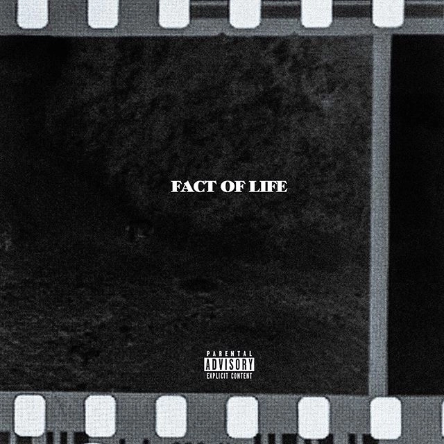 BCDMG / Fact Of Life
