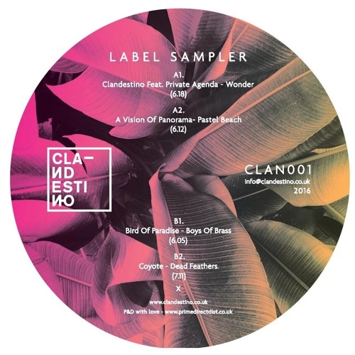 V.A. / CLANDESTINO LABEL SAMPLER