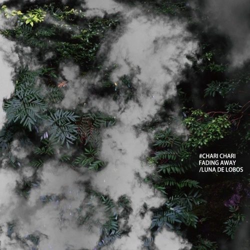 CHARI CHARI / チャリ・チャリ / Fading Away / Luna de Lobos