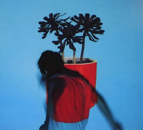 LOCAL NATIVES / ローカル・ネイティヴス / SUNLIT YOUTH