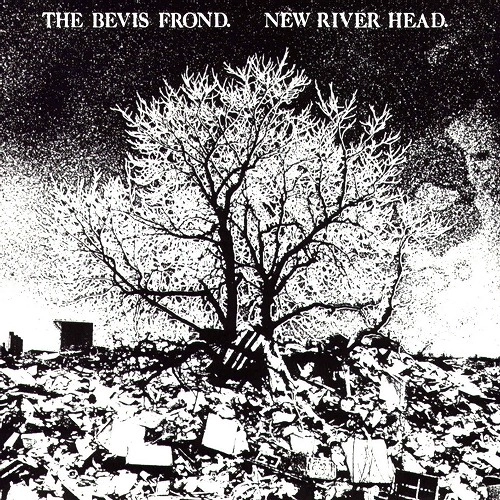 BEVIS FROND / ベヴィス・フロンド / NEW RIVER HEAD