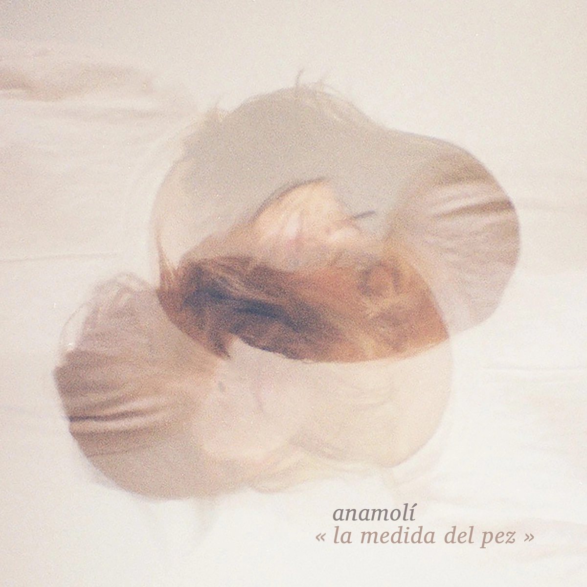 ANAMOLI / アナモリ / LA MEDIDA DEL PEZ