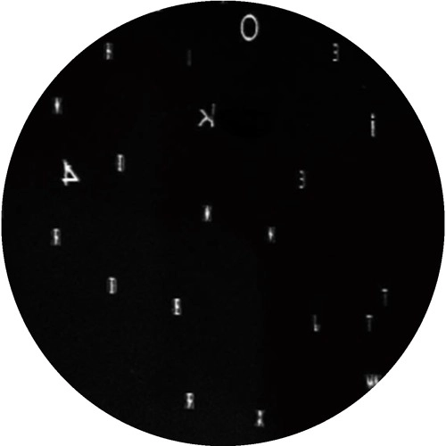 ALLBLACK / BIRDS OF LACIN