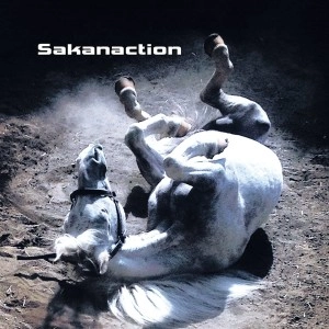 Sakanaction / サカナクション / 多分、風。（初回ＢＤ付）
